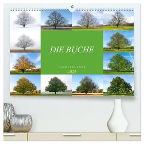 Die Buche: Jahresplaner 2024 (hochwertiger Premium Wandkalender 2024 DIN A2 quer), Kunstdruck in Hochglanz von Balzer,  Tatjana
