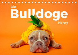 Die Bulldoge Henry (Tischkalender 2024 DIN A5 quer) von Scott,  M.