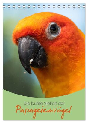 Die bunte Vielfalt der Papageienvögel (Tischkalender 2024 DIN A5 hoch), CALVENDO Monatskalender von Williger,  Christina