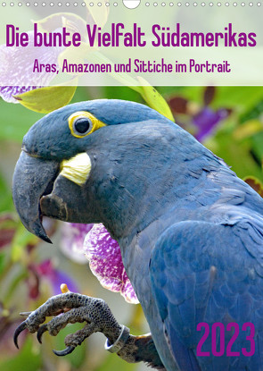 Die bunte Vielfalt Südamerikas – Aras, Amazonen und Sittiche im Portrait (Wandkalender 2023 DIN A3 hoch) von Kleemann,  Claudia