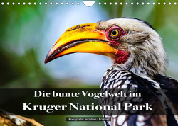 Die bunte Vogelwelt im Kruger National Park (Wandkalender 2023 DIN A4 quer) von Henting,  Stephan