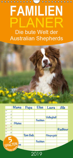 DIE BUNTE WELT DER AUSTRALIAN SHEPHERDS – Familienplaner hoch (Wandkalender 2019 , 21 cm x 45 cm, hoch) von Mirsberger tierpfoto,  Annett