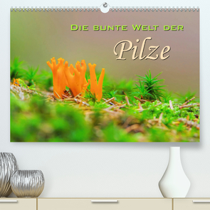 Die bunte Welt der Pilze (Premium, hochwertiger DIN A2 Wandkalender 2020, Kunstdruck in Hochglanz) von LianeM