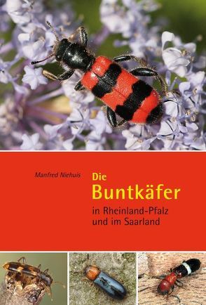 Die Buntkäfer in Rheinland-Pfalz und im Saarland von Niehuis,  Manfred