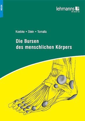 Die Bursen des menschlichen Körpers von Koepke,  Jürgen, Stein,  Gregor, Tomalla,  Fred