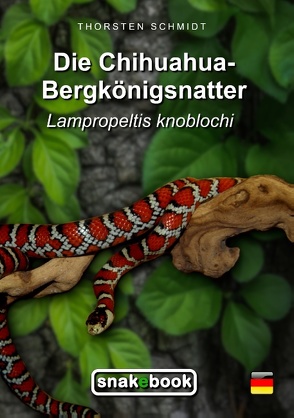 Die Chihuahua-Bergkönigsnatter von Schmidt,  Thorsten