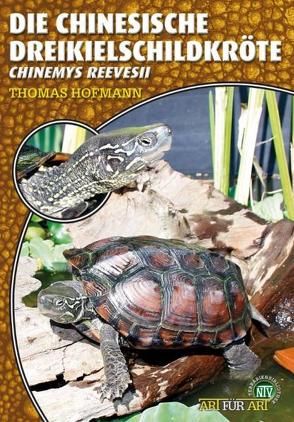 Die Chinesische Dreikielschildkröte von Hofmann,  Thomas