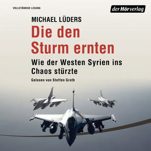 Die den Sturm ernten von Groth,  Steffen, Lüders,  Michael