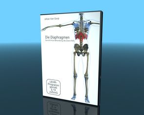 Die Diaphragmen – Ganzheitliche Behandlung des Zwerchfells von Sandrowski,  Werner, Van Gorp,  Johan