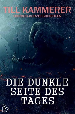 DIE DUNKLE SEITE DES TAGES von Kammerer,  Till