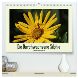 Die Durchwachsene Silphie – Eine Amerikanerin gibt Gas / CH-Version (hochwertiger Premium Wandkalender 2024 DIN A2 quer), Kunstdruck in Hochglanz von Stolzenburg,  Kerstin