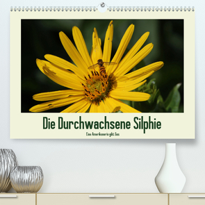 Die Durchwachsene Silphie – Eine Amerikanerin gibt Gas / CH-Version (Premium, hochwertiger DIN A2 Wandkalender 2020, Kunstdruck in Hochglanz) von Stolzenburg,  Kerstin