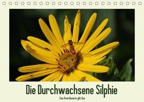 Die Durchwachsene Silphie – Eine Amerikanerin gibt Gas / CH-Version (Tischkalender 2018 DIN A5 quer) von Stolzenburg,  Kerstin