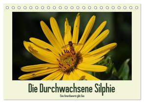 Die Durchwachsene Silphie – Eine Amerikanerin gibt Gas / CH-Version (Tischkalender 2024 DIN A5 quer), CALVENDO Monatskalender von Stolzenburg,  Kerstin