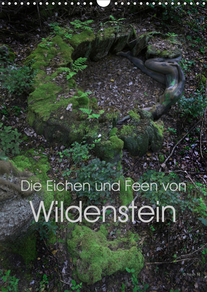 Die Eichen und Feen von Wildenstein (Wandkalender 2021 DIN A3 hoch) von fru.ch