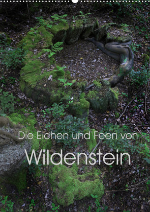 Die Eichen und Feen von Wildenstein (Wandkalender 2022 DIN A2 hoch) von fru.ch