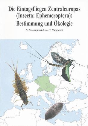 Die Eintagsfliegen Europas (Insecta: Ephemeroptera) von Bauernfeind,  Ernst, Humpesch,  Uwe H.