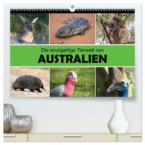 Die einzigartige Tierwelt von Australien (hochwertiger Premium Wandkalender 2024 DIN A2 quer), Kunstdruck in Hochglanz von Williger,  Christina