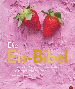 Die Eis-Bibel von Reinhardt,  Christian, Saier,  Yüksel