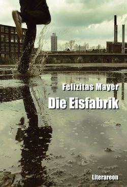 Die Eisfabrik von Mayer,  Felizitas