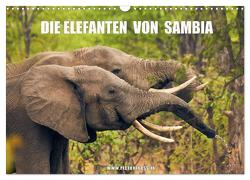 Die Elefanten von Sambia (Wandkalender 2024 DIN A3 quer), CALVENDO Monatskalender von Esch,  Jens