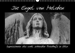Die Engel von Melaten (Wandkalender 2023 DIN A3 quer) von Klein,  Patrick