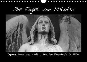 Die Engel von Melaten (Wandkalender 2023 DIN A4 quer) von Klein,  Patrick
