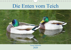 Die Enten vom Teich (Wandkalender 2020 DIN A4 quer) von Mahrhofer,  Verena