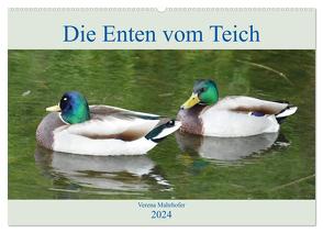 Die Enten vom Teich (Wandkalender 2024 DIN A2 quer), CALVENDO Monatskalender von Mahrhofer,  Verena