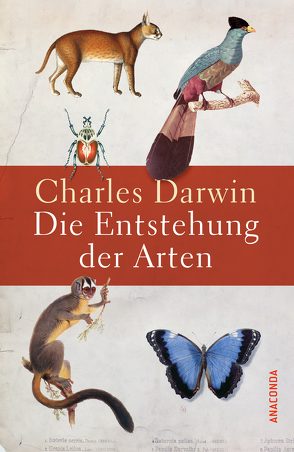 Die Entstehung der Arten von Darwin,  Charles, Neumann,  Carl Wilhelm