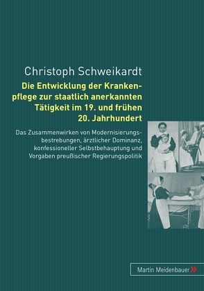 Die Entwicklung der Krankenpflege zur staatlich anerkannten Tätigkeit im 19. und frühen 20. Jahrhundert von Schweikardt,  Christoph