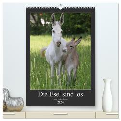 Die Esel sind los (hochwertiger Premium Wandkalender 2024 DIN A2 hoch), Kunstdruck in Hochglanz von Lindert-Rottke,  Antje
