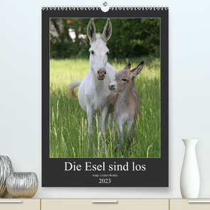 Die Esel sind los (Premium, hochwertiger DIN A2 Wandkalender 2023, Kunstdruck in Hochglanz) von Lindert-Rottke,  Antje