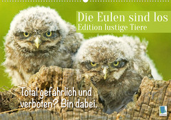 Die Eulen sind los: Edition lustige Tiere (Wandkalender 2023 DIN A2 quer) von CALVENDO