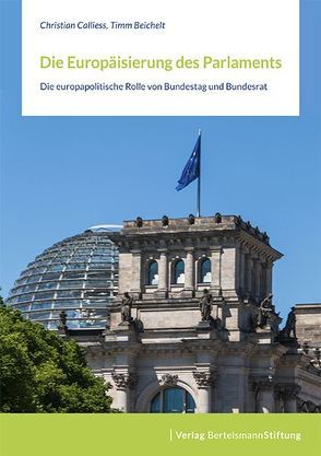 Die Europäisierung des Parlaments von Beichelt,  Timm, Calliess,  Christian