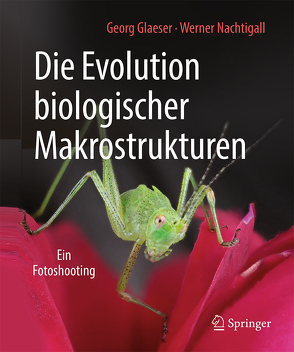 Die Evolution biologischer Makrostrukturen von Glaeser,  Georg, Nachtigall,  Werner