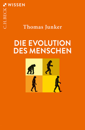 Die Evolution des Menschen von Junker,  Thomas