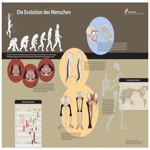 Die Evolution des Menschen – Poster von Gudo,  Michael, Syed,  Tareq