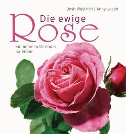 Die ewige Rose von Jacob,  Anny, Westrich,  Josh