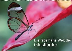 Die fabelhafte Welt der Glasflügler (Wandkalender 2018 DIN A2 quer) von Kramer,  Siegfried