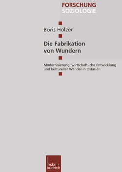 Die Fabrikation von Wundern von Holzer,  Boris