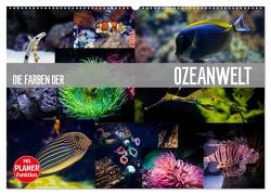 Die Farben der Ozeanwelt (Wandkalender 2024 DIN A2 quer), CALVENDO Monatskalender von Meutzner,  Dirk