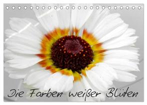 Die Farben weißer Blüten (Tischkalender 2024 DIN A5 quer), CALVENDO Monatskalender von Knodt,  Birgit