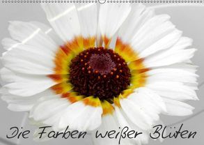 Die Farben weißer Blüten (Wandkalender 2019 DIN A2 quer) von Knodt,  Birgit