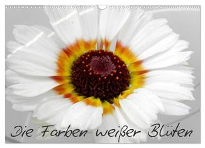 Die Farben weißer Blüten (Wandkalender 2024 DIN A3 quer), CALVENDO Monatskalender von Knodt,  Birgit