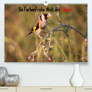 Die farbenfrohe Welt der Finken (Premium, hochwertiger DIN A2 Wandkalender 2020, Kunstdruck in Hochglanz) von Erlwein,  Winfried
