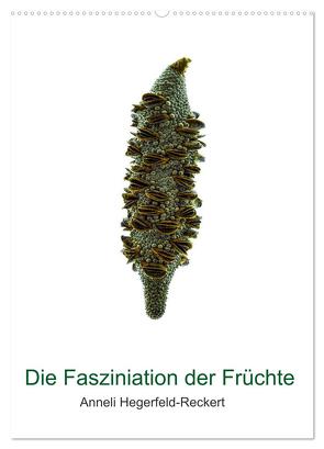 Die Faszination der Früchte (Wandkalender 2024 DIN A2 hoch), CALVENDO Monatskalender von Hegerfeld-Reckert,  Anneli