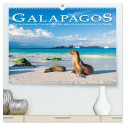 Die faszinierende Tierwelt der Galapagos-Inseln (hochwertiger Premium Wandkalender 2024 DIN A2 quer), Kunstdruck in Hochglanz von Guni,  Günter