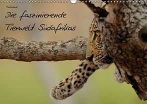 Die faszinierende Tierwelt Südafrikas (PosterbuchDIN A3 quer) von Schmalhofer,  Christian