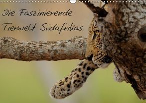 Die Faszinierende Tierwelt Südafrikas (Wandkalender 2019 DIN A3 quer) von Schmalhofer,  Christian
